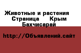  Животные и растения - Страница 2 . Крым,Бахчисарай